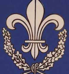 Le mouvement de la Jeunesse royaliste, les prémices de l’Action française