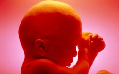 Pour un bioconservatisme intégral, contre les biotechs et le transhumanisme