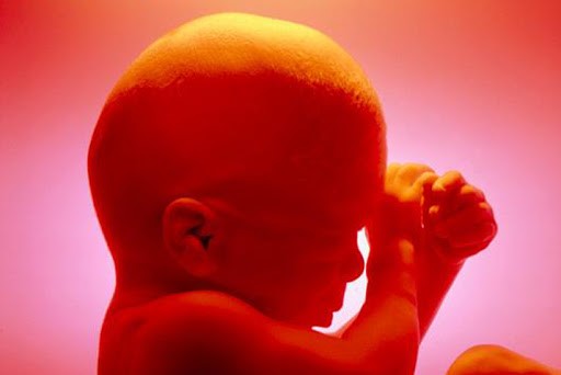 Pour un bioconservatisme intégral, contre les biotechs et le transhumanisme