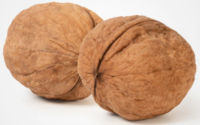 Encyclopédie des colères : la mort du père ou la mort sociale