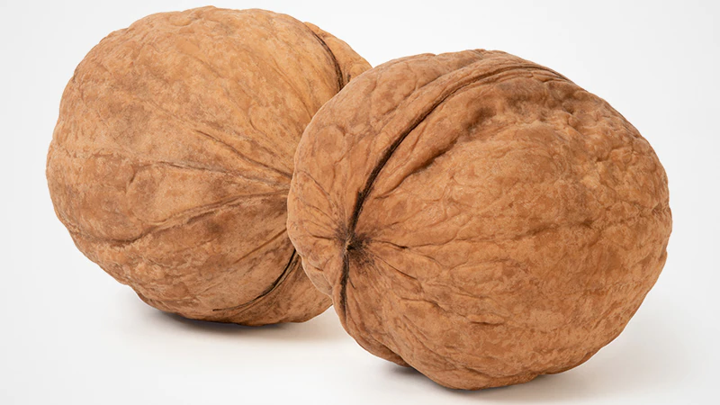 Encyclopédie des colères : la mort du père ou la mort sociale