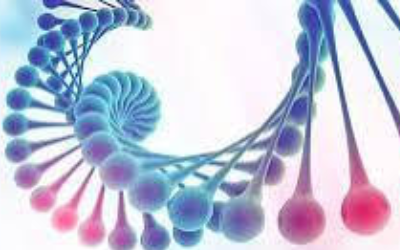 Où en est la bioéthique en France ?